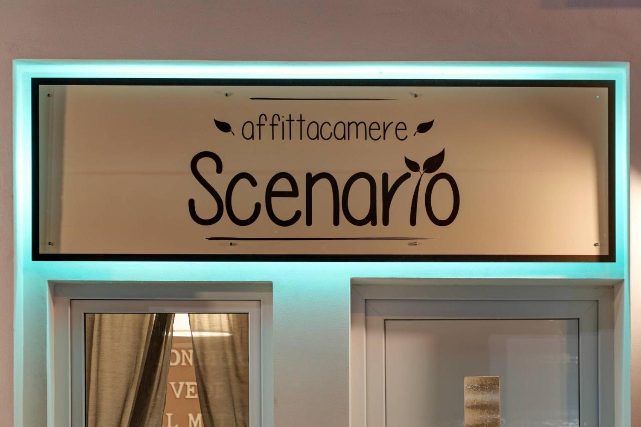 Scenario *
